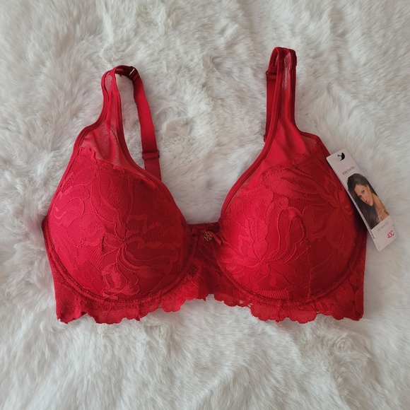 Daisy Fuentes Other - 💋DAISY FUENTES BRAND NEW HIGH APEX LACE BRA SIZE 40C